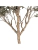Clayre & Eef Drzewko dekoracyjne w kolorze zielono-beżowym - 120 x 240 x 80 cm