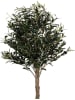 Clayre & Eef Decoboom groen/lichtbruin - (B)50 x (H)165 x (D)50 cm