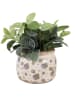 Clayre & Eef Bloempot beige - (H)15 x Ø 20 cm
