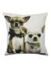 Mars & More Kussen "Chihuahuas" lichtbruin/wit - (L)50 x (B)50 cm