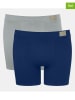 Sloggi 2-delige set: boxershorts "Go Natural" blauw/grijs