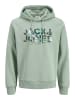 Jack & Jones Hoodie "Geplas" groen