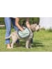 Vigar Hunde-Trockentuch ''Pets'' in Grau/ Grün - (L)80 x (B)35 cm