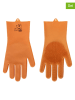 Vigar 2-delige set: dierenhaarhandschoenen "Pets" oranje - (L)31,5 x (B)16 cm