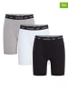 Reebok 3er-Set: Boxershorts "Hogan" in Schwarz/ Grau/ Weiß