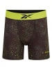 Reebok 3er-Set: Boxershorts "Benji" in Grau/ Limette/ Schwarz