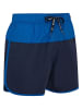 Reebok Szorty kąpielowe "Troy" w kolorze granatowym