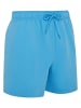 Reebok Badeshorts "Yale" in Hellblau