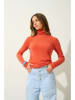 AUTHENTIC CASHMERE Kaschmir-Rollkragenpullover "Bise" in Orange