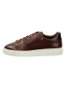 GANT Footwear Leder-Sneakers "McJulien" in Braun