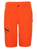 Westfjord Softshellshorts "Hekla" in Orange
