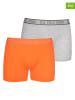 U.S. Polo Assn. 2-delige set: boxershorts grijs/oranje