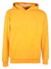 U.S. Polo Assn. Hoodie in Gelb