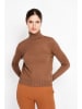 ASSUILI Rollkragenpullover in Braun