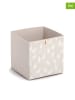 Zeller 2er-Set: Aufbewahrungsboxen in Beige - (B)32 x (H)32 x (T)32 cm