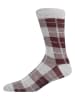 Wrangler 3er-Set: Socken "Raeburn" in Bunt