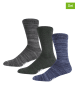LEE Underwear 3er-Set: Socken "Soutar" in Grau/ Blau