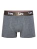 LEE Underwear Bokserki (3 pary) "Becket" w kolorze szaro-oliwkowym