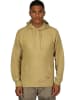 Geographical Norway Hoodie "Faglio" geel
