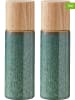 Bitz 2-delige set: kruidenmolens groen - (H)17 cm