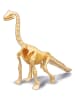 BUKI Constructiespeelgoed "Dino Kit - Brachiosaurus" - vanaf 8 jaar