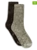 Lemon socks 8er-Set: Socken in Braun/ Khaki