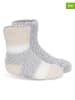 Lemon socks 6-delige set: sokken grijs/beige