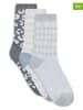 Lemon socks 18er-Set: Socken in Grau