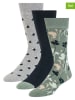 Ted Baker 3er-Set: Socken in Dunkelblau/ Grün/ Grau