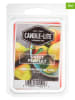 CANDLE-LITE Wosk zapachowy (2 szt.) "Sweet Pear Lily" - 2 x 56 g