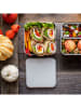 Monbento Lunchbox in Grün/ Hellgrau - 1,7 l