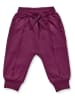 Sense Organics Sweathose "Nevin" in Aubergine