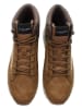 U.S. Polo Assn. Boots lichtbruin/bruin