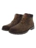 U.S. Polo Assn. Boots in Braun