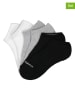 Skechers Skarpety (3 pary) w kolorze szaro-biało-czarnym