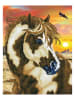DIAMOND DOTZ Kreativset "Diamond Painting Wildpferd" - ab 6 Jahren