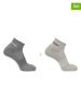 SALOMON 2-delige set: sokken "Evasion Ankle" grijs/beige