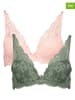 Petit Fleur 2er-Set: Push-Up-BHs in Khaki/ Rosa