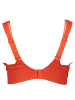 nuance Minimizer-BH in Orange