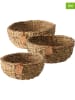 Boltze Koszyki (3 szt.) "Sophy" w kolorze brązowym