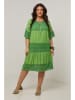 Curvy Lady Kleid in Grün