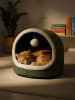 Paws&Whiskers Legowisko "Alaska" w kolorze zielonym dla kota