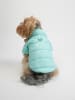 Paws&Whiskers Hondenhoodie turquoise