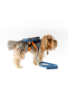 Paws&Whiskers 2-delige hondentuigset blauw