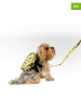 Paws&Whiskers 2tlg. Hundegeschirr-Set in Gelb
