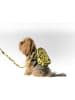 Paws&Whiskers 2tlg. Hundegeschirr-Set in Gelb