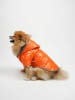 Paws&Whiskers Hundehoodie in Orange
