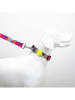 Paws&Whiskers Hondenhalsband "Spirit" meerkleurig