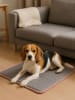 Paws&Whiskers Thermo-Liegematte in Grau