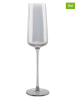 Salt and Pepper Kieliszki (4 szt.) "Ray" do szampana - 240 ml